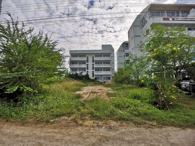 ขาย ที่ดิน ต.ปึกเตียน อ.ท่ายาง จ.เพชรบุรี    PAPC2_0009 C001