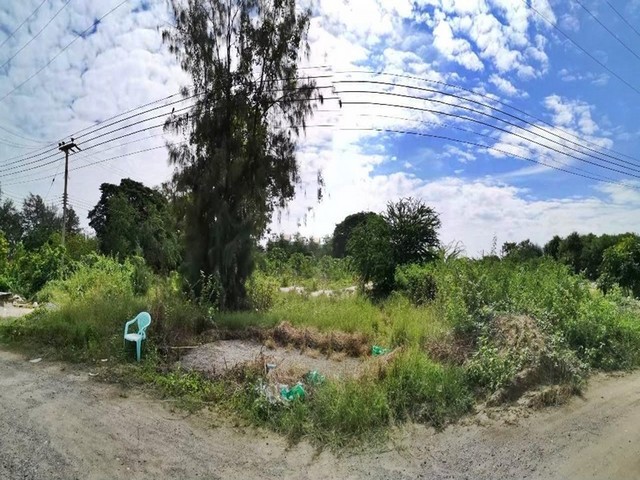 ขาย ที่ดิน ต.ปึกเตียน อ.ท่ายาง จ.เพชรบุรี    PAPC2_0009 C010