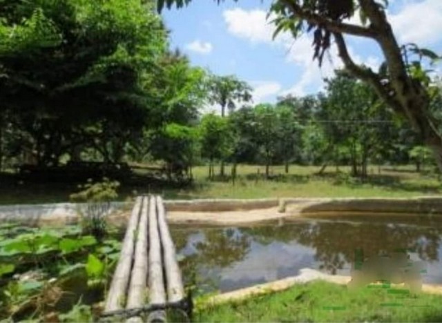 บ้านสวน เชิงดอย มีลำห้วย 2สายล้อมรอบ ดอยสะเก็ด          