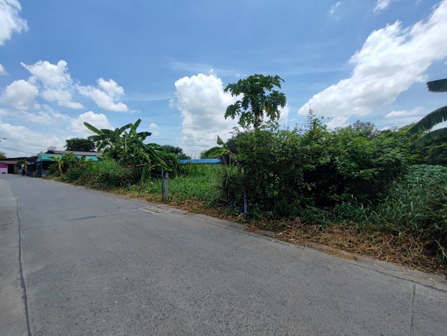 ขายที่ดินกรุงเทพ หนองแขม ซอยสวัสดิการ 1 เนื้อที่ 285 ตรว สวยสี่เหลี่ยมผืนผ้าหน้ากว้าง  