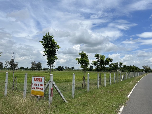 ขายด่วนที่ดิน 12 ไร่ 1 งาน 20 ตารางวา ตำบลสำโรง อำเภอเมือง จ สุรินทร์