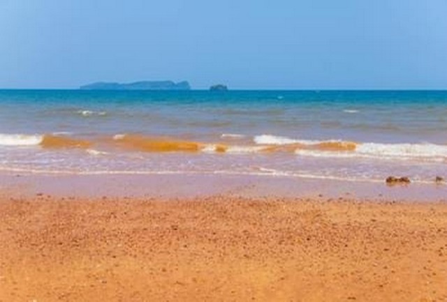 สำหรับชาวนักลงทุนและผู้หาซื้อทรัพย์ดีดี    ขายอสังหาริมทรัพย์ ที่ดินราคาหลักแสน ปรับพื้นที่พร้อมขาย ที่ดินใกล้ทะเล ต.ทรายทอง อ.บางสะพานน้อย จ.ประจวบคีรีขันธ์