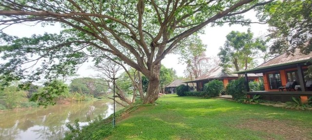 รีสอร์ทติดแม่น้ำปิง ทำเลดี ลูกค้าแน่นตลอดปี สารภี  