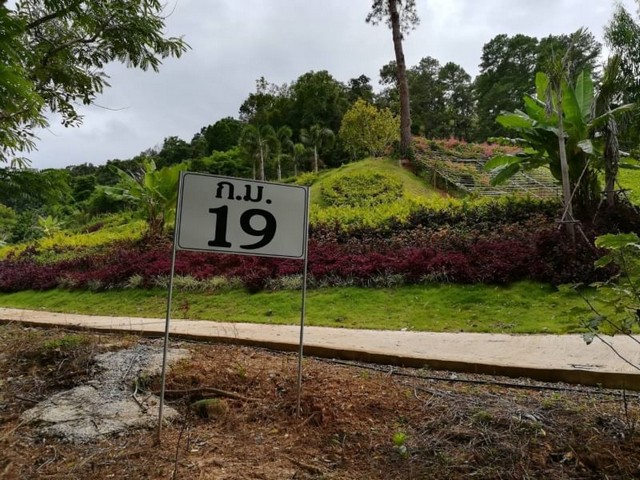 ที่ดินสวย ติดน้ำตก ติดถนนหลัก แม่ริม โป่งแยง              