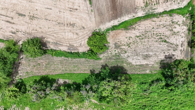 ที่ดินทำไร่(บ้านน้อยใน) เนื้อที่ 5 ไร่ 15.1 ตารางวา ทางเข้าอยู่บริเวณก่อนถึงอบต.หินลาด อ.วัดโบสถ์ จ.พิษณุโลก 