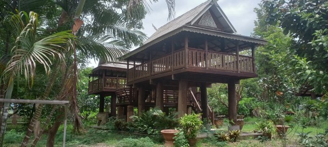 ขายบ้านไม้สักขนาดใหญ่ พร้อมที่ดินและสิ่งปลูกสร้างขนาด 4 ไร่กว่า  อำเภอแม่ริม จังหวัดเชียงใหม่