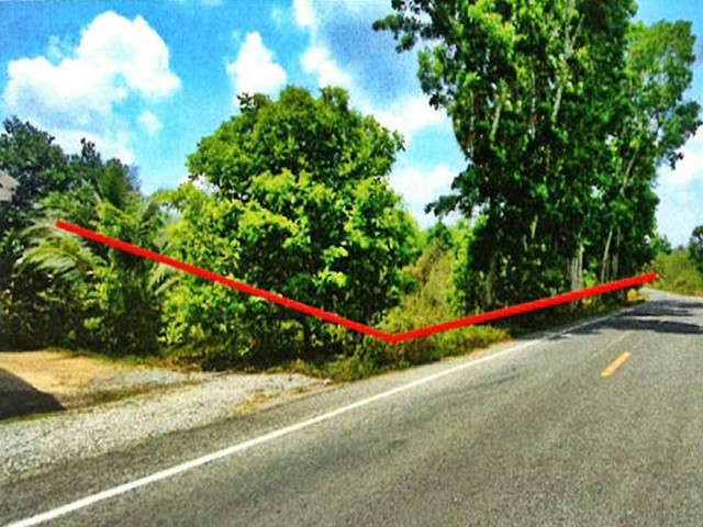 ขาย ที่ดิน ต.น้ำหัก อ.คีรีรัฐนิคม จ.สุราษฎร์ธานี    PAP2-0282