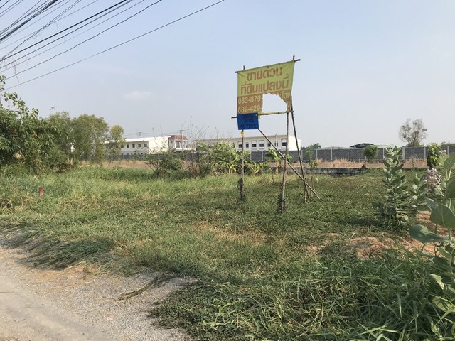 ขายที่ดินทำเลดี  50 ตารางวา ซอยบงกช 65 ตำบล คลองสอง อำเภอคลองหลวง ปทุมธานี 12120