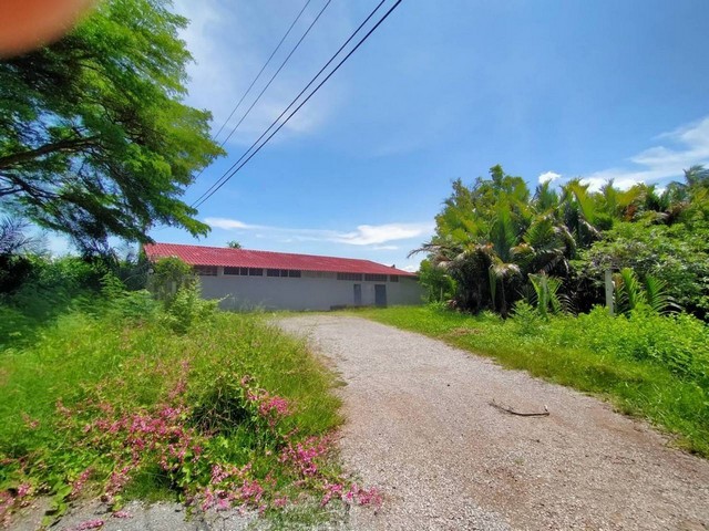 ขายด่วน โกดังพร้อมที่ดิน  279.70  ตร.ว   ทำเลทอง  จากพระราม 2 เพียง 10 เมตร   ใกล้เมืองสมุทรสงคราม   ZW383