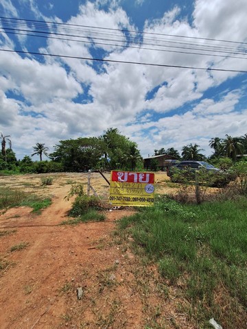 ขายด่วนที่ดินแปลงสวย 1-0-44 ไร่ ด้านหน้าติดถนน ด้านข้างติดน้ำ  แพรกหนามแดง  อัมพวา  สมุทรสงคราม   ZW386