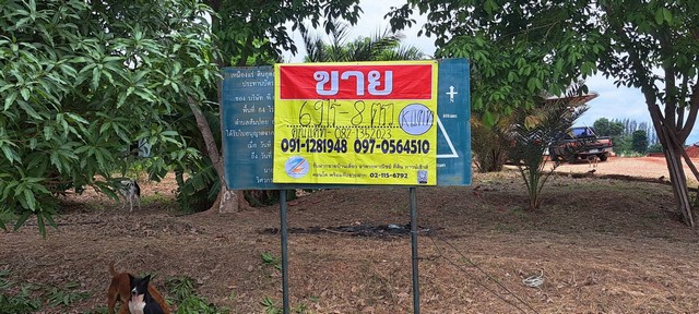 ขายด่วน  ที่ดินเหมืองแร่ดินเหนียวสี 69ไร่  พร้อมใบประทานบัตร 12ปี  ใกล้สโมสรกีฬาและสันทนาการ  จ.ชัยภูมิ      ZE661