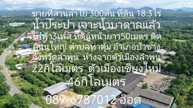 ขายที่ดินพร้อมสวนลำไย 300 ต้น อำเภอป่าซาง จังหวัดลำพูน เนื้อที่ 18 ไร่ 1 งาน 20 ตารางวา