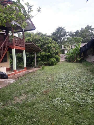 ขายบ้านไม้ปูน 2ชั้น 375ตรว. 1.5ลบ. 2นอน1น้ำ ติดแม่น้ำปิง ต.ต้นธง อ.เมือง ลำพูน