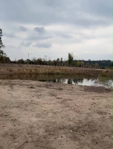 ขายที่ดิน วิวภูเขา ใกล้นานาชาติเปรม ห้วยทราย แม่ริม 