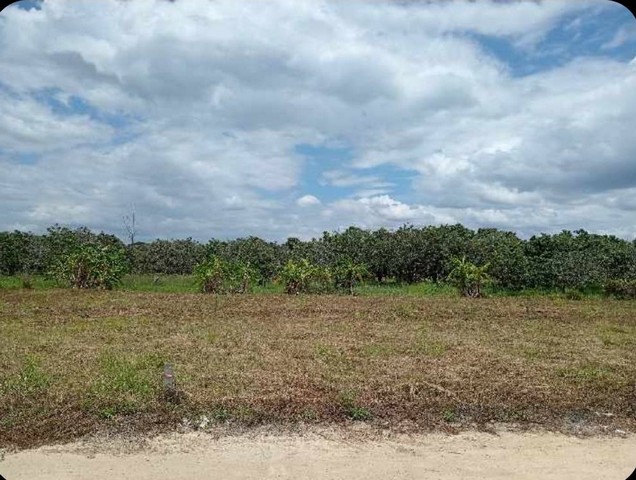 ขายที่ดินสวย ใกล้เมือง เดินทางสะดวก สาธารณูปโภคครบ อ.หางดง  จ.เชียงใหม่