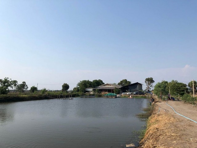 POR4373 ขาย เช่า ที่ดินและสิ่งปลูกสร้าง โรงงานคัดแยก ขยะ โกดังจัดเก็บและคัดเเยก