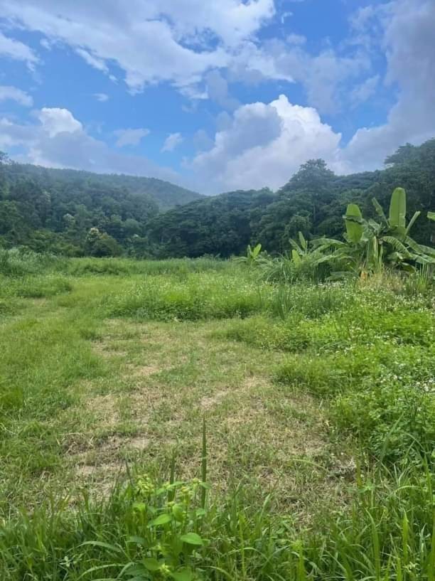 ที่ดินติดแม่น้ำกวง โฉนดครุฑแดง ขายไร่ละ 5 ล้าน 13-1-10 ตรว. ดอยสะเก็ด ติดถนนหลักเชียงใหม่-เชียงราย ติดน้ำ ยาว 500 เมตร มีน้ำตลอดทั้งปี