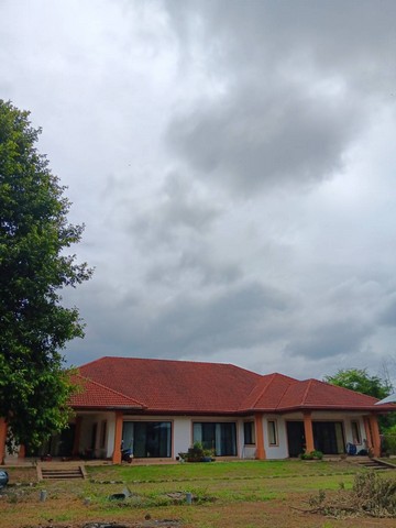 ขายบ้านเดี่ยวชั้นเดียว พร้อมที่ดิน 2 ไร่ ซอยห้วยยายจีน อำเภอบางละมุง จังหวัดชลบุรี