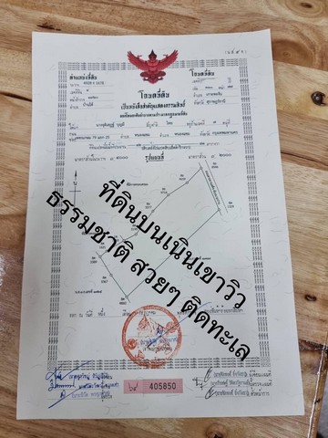 ที่ดินโฉนดครุฑแดง เกาะพงัน  จังหวัดสุราษฏร์ธานี เจ้าของขายเองที่ดิน ลดเหลือเพียง 16 ล้านบาท