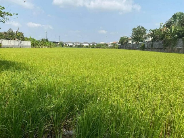 ที่ดิน อำเภอเมืองปทุมธานี จังหวัดปทุมธานี เนื้อที่ 4 ไร่ 2 งาน เจ้าของขายเองที่ดิน ลดเหลือเพียงไร่ ละ7.5 ล้านบาท เ