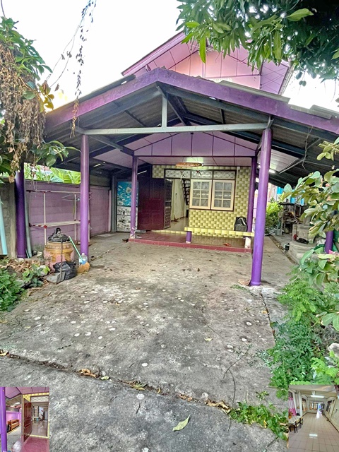 ให้เช่าบ้านเดียว 2 ชั้น 46ตรว.เทพรักษ์ 15-21 BTS สายหยุด 1กม. 230ตรม. รักสัตว์ สวนหย่อม 2นอน 2น้ำ 2จอดรถ ทำเลดีมาก