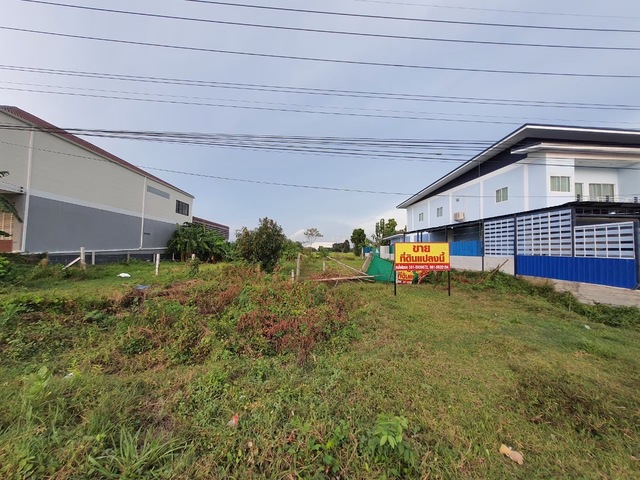 ขายที่ดินอำเภอกระสัง จ.บุรีรัมย์ ถมแล้ว ขนาด 93 ตรว.ติดถนนเส้น ระกา-กระสัง 