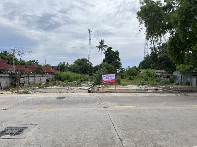 ขายด่วน ที่ดินราคาถูก ขนาด 2 ไร่ ตำบลหนองปรือ อำเภอบางละมุง จังหวัดชลบุรี