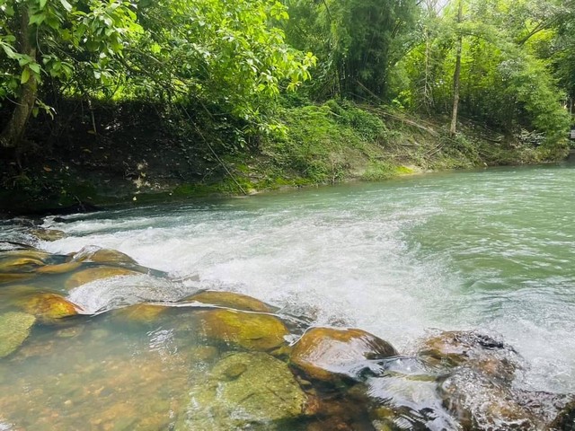 ที่สวนติดลำธารสาริกา นครนายกเดินทางสะดวก มีผลไม้และต้นไม้ใหญ่ให้ความร่มเงา