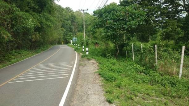 ที่ดินวิวดอย ติดถนน โซนแม่ริม ขาย 8.9 ล้าน ที่ดินเปล่าโฉนด 1-1-1 ตรว. รวมที่งอก ติดน้ำแม่แรม เหมาะสำหรับสร้างบ้าน รีสอร์ทขาย