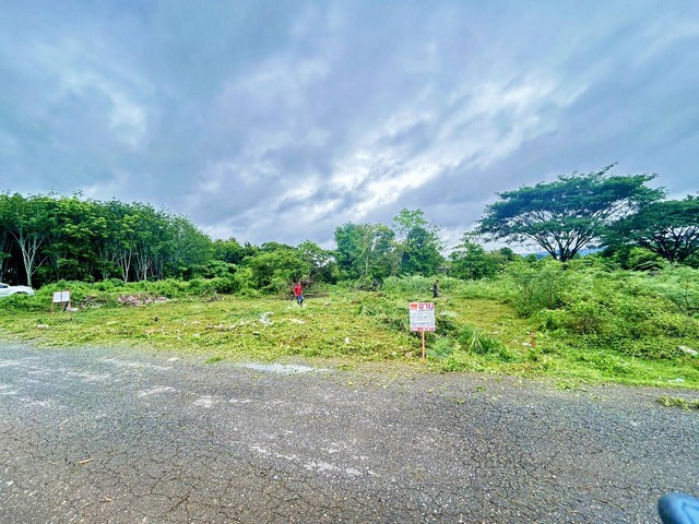 ขายที่ดินเปล่า หลังแม็คโคร ทุ่งสง เข้าซอย เอเชีย-คลองนา มา 1 กิโลเมตร ที่ดินเป็นโฉนด นส. 4 จ. พิกัด ต.ชะมาย อ.ทุ่งสง จ.นครศรีธรรมราช