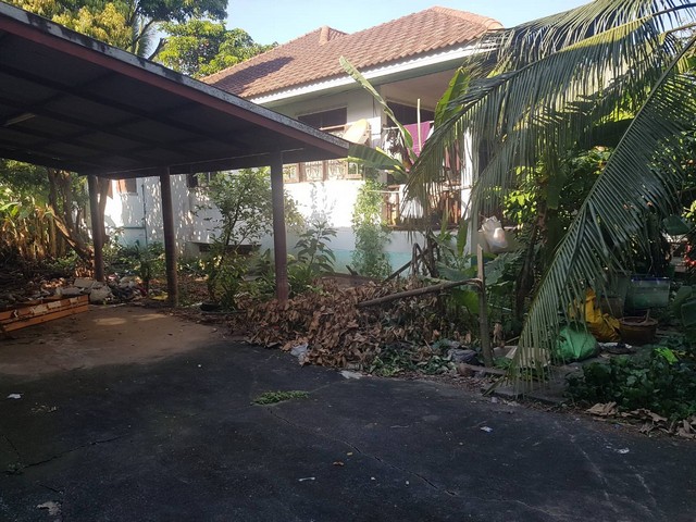 กรกฎามาบรรจบครบ 9ปีทีมขายทำการตลาด โปรเด็ดเอาใจผู้ซื้อ  ขายบ้านปูน 1 ชั้น ต.บางเลน อ.บางใหญ่ 100 วา แหล่งเจริญ  นนทบุรี เนื้อที่ ราคาคุยได้ค่ะ