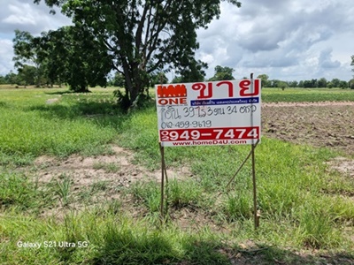 ขายที่ดิน 2 แปลง 39ไร่ 3งาน 34ตร.ว. ด่วน ใกล้คลองส่งน้ำทำไรทำสวนทำนาปลูกมันได้ผลผลิตดี ไร่ละ 250,000 บาท สนใจต่อลองราคาได้นะคะ  