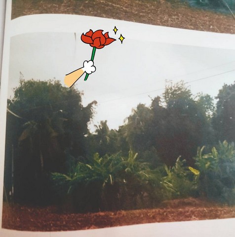 กรกฎามาบรรจบครบ 9ปีทีมขายทำการตลาด โปรเด็ดเอาใจผู้ซื้อ  ขาย ทางสายหลักผ่านหลากหลายจังหวัดแห่งเมืองไทย  ชุมแสง  จ.นครสวรรค์ 300000 บาท.วิวแม่น้ำเกษตรดีงามสวยสมบูรณ์