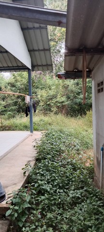 กรกฎามาบรรจบครบ 9ปีทีมขายทำการตลาด โปรเด็ดเอาใจผู้ซื้อ ขาย จ.สิงห์บุรี  วิถีไทยอยู่อย่างไทย  ตำบลโพทะเล วิถีไทย 262 วา ต.โพทะเล อ.ค่ายบางระจัน สิงห์บุรี 500000บาท