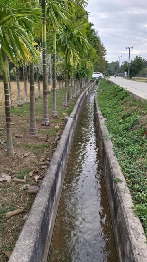 ที่ดินเป็นสี่เหลี่ยมสวยมาก ขายที่ดินเปล่าตรว.ละ 13,000 บาท 1-3-76 ไร่ แม่ริม ติดถนน 2 ด้าน เหมาะเป็นที่อยู่อาศัย หรือทำบ้านพักตากอากาศ 