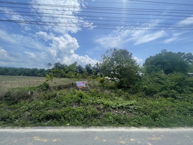 ขายที่ดินเปล่า เข้าออกถนนได้ทั้ง 2 ด้าน เหมาะสำหรับสร้างบ้านที่อยู่อาศัย พิกัด ต.ไทยบุรี อ.ท่าศาลา จ.นครศรีธรรมราช