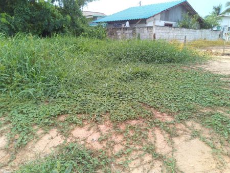 ขายที่ดินเปล่าถมแล้ว 50 ตร.ว ต.อรัญญิก  สวยมาก น้ำ-ไฟ เข้าถึง