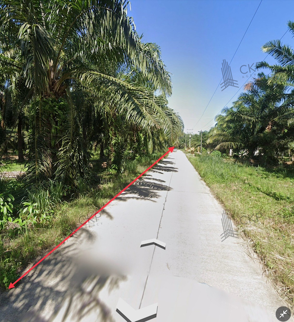 ขาย ที่ดินเปล่า สวนปาล์ม ใกล้ถนนเพชรเกษม ฝั่งขาขึ้นกทม.