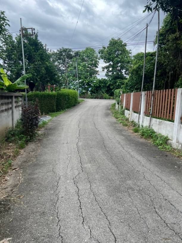 โซนแม่ริม ขายที่ดินเปล่า 7 ล้าน เนื้อที่ 1 ไร่ เหมืองแก้ว ใกล้แหล่งท่องเที่ยวและสวนดอกไม้ ด้านหน้าติดถนน ใกล้สนามกอล์ฟกรีนวัลเล่ย์