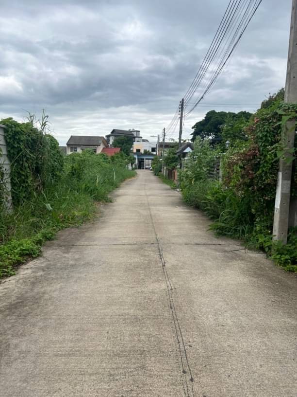 โซนแม่ริม ขาย 3.9 ล้าน 138 ตรว. ดอนแก้ว ใกล้รพ.นครพิงค์ ใกล้ถนนหลักโชตนา เดินทางสะดวก เข้าเมืองเพียงไม่กี่นาที