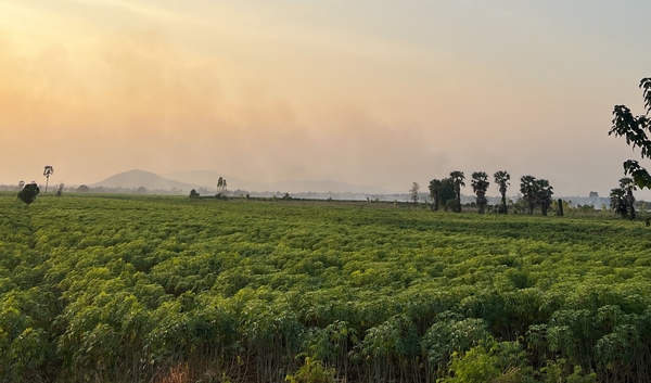  ขายที่ดิน8ไร่ อ.วังม่วง จ.สระบุรี ที่ดิน บรรยากาศดี เป็นธรรมชาติ -ที่สวย ทำเลดี -เหมาะกับการลงทุน  