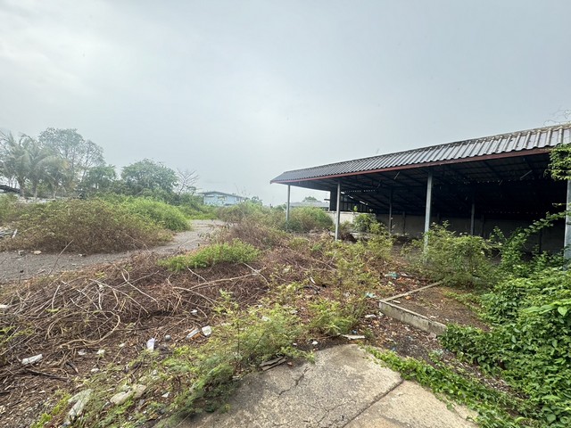 ขายที่เปล่าติดแม่น้ำแม่กลอง ที่เปล่าติดถนนราษฎร์ประสิทธิ์ ที่ดินบางจะเกร็ง