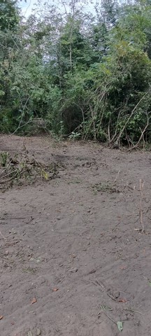 ขายอสังหาริมทรัพย์บ้านที่ดินที่สวยติดทางหลวง1107 เมืองบ้านตาก จ.ตาก คมนาคมสะดวกมาก 36 ไร่เศษ อ.บ้านตาก  จ.ตาก  ติด ทล.1107 โทร 0837124115