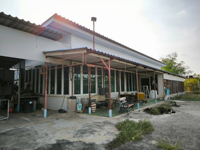 ขายที่ดินพร้อมฟาร์มเลี้ยงนก 4-2-0ไร่ ถ.คลอง26สายบน  หนองแค สระบุรี    ZW390