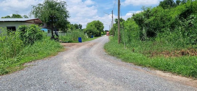 ขายที่ดินคลองหก คลองหลวง ปทุมธานี น้ำและไฟมีครบ ถนนกว้าง 6 เมตร ขนาด 100 ตรว.