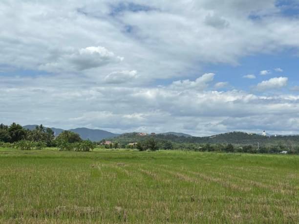 ขายที่ดิน หลังรพ.ดอยสะเก็ด ตรว.ละ 6,500 บาท เนื้อที่ 100 ตรว. โซนดอยสะเก็ด ห่างถนนใหญ่ เพียง 1.5 กม. วิวภูเขา 360 องศา