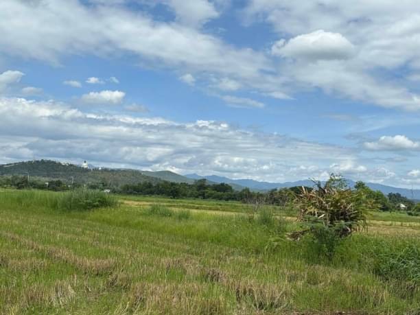 ขายที่ดิน หลังรพ.ดอยสะเก็ด ตรว.ละ 6,500 บาท เนื้อที่ 100 ตรว. โซนดอยสะเก็ด ห่างถนนใหญ่ เพียง 1.5 กม. วิวภูเขา 360 องศา