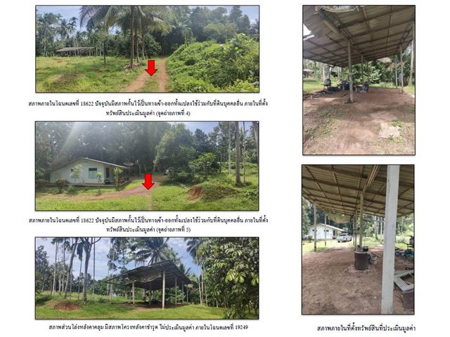 ขายที่ดิน ถนนกาญจนาภิเษก อำเภอ สวี  จังหวัดชุมพร