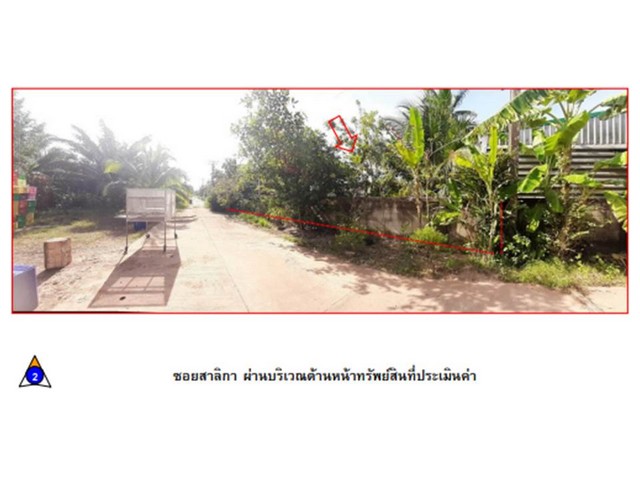 ขายที่ดินซอยสาลิกา อำเภอ เมืองชุมพร จังหวัดชุมพร