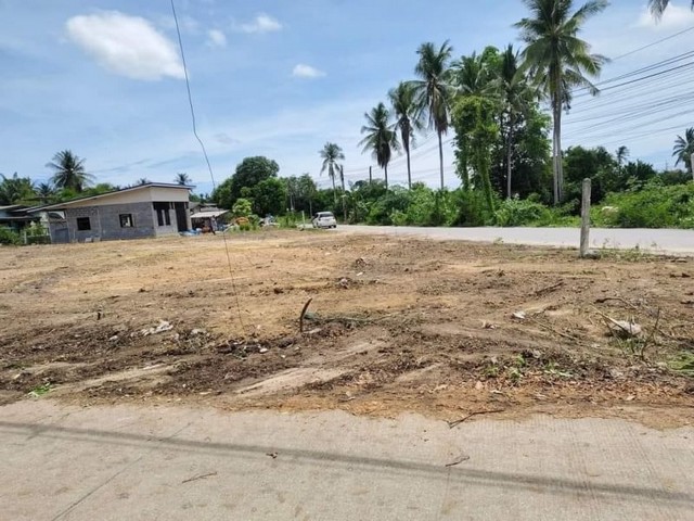 TEL :088-559 5199 คุณเอLine: https://line.me/ti/p/C0eGe0whLXขายที่ดินเปล่า ห้วยใหญ่ ซอยดีเจริญรีสอร์ทติดถนนคอนกรีต 2 ด้านน้ำ ราคา 3,750,000 ลบ.โอนภาษี 50/50 เนื้อที่  213 ตารางวา  แยกโฉนด 2 ใบ  - ใกล้มอเตอร์เวย์ ห่างจากถนนหลัก 150 เมตร - เดินทางไปดูกทม.ระยองสะดวกในการเดินทาง T : A4                                   